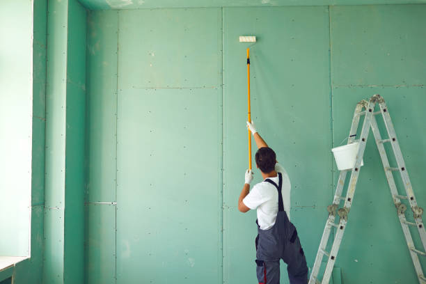Trusted Keansburg, NJ Mold Removal Experts