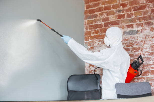Best Mold-Related Health Consultation  in Keansburg, NJ