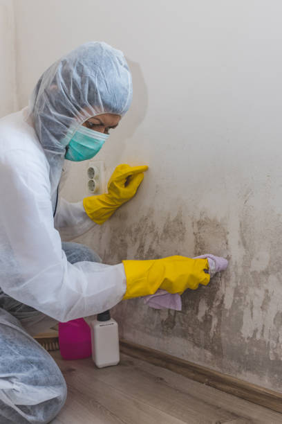 Best Environmental Consulting for Mold Prevention  in Keansburg, NJ