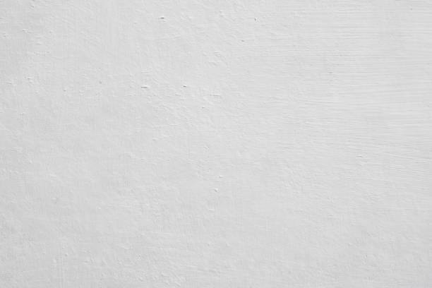 Mold Remediation for Vacation Homes in Keansburg, NJ