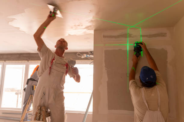 Best Black Mold Removal  in Keansburg, NJ