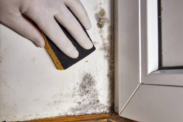 Best Indoor Air Quality Assessment  in Keansburg, NJ