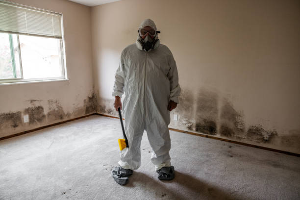 Mold Removal for HVAC Installations in Keansburg, NJ